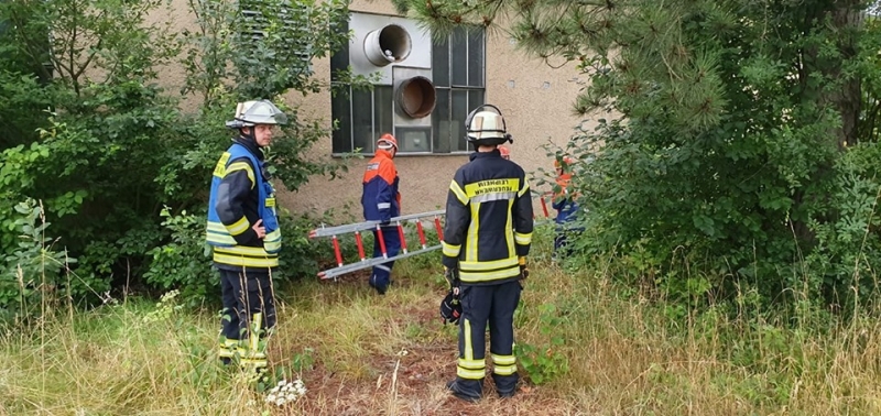 67604979_2405306639686359_5093950617441796096_n